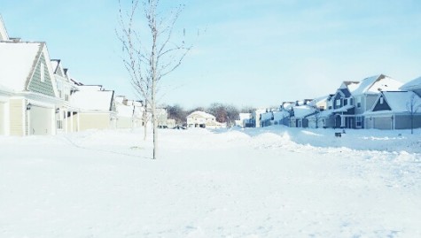 The Year of the Snowdays