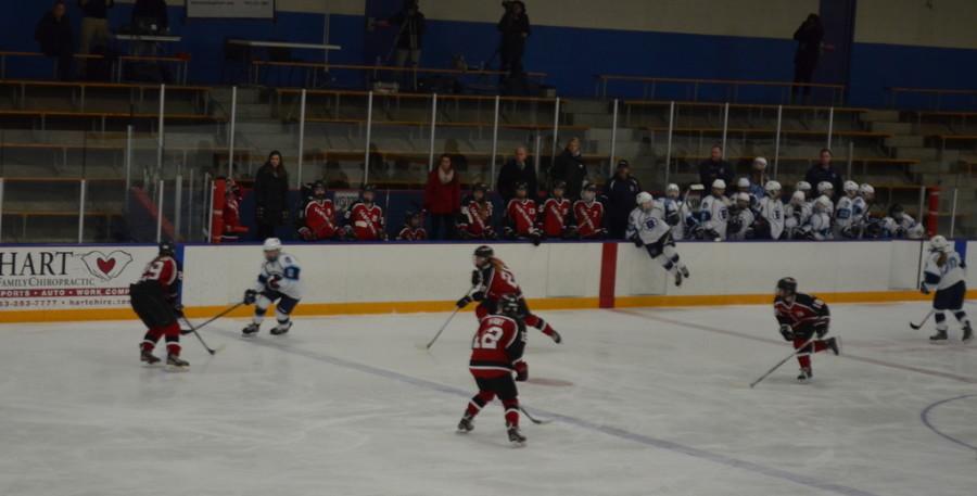 Girls Hockey: Bengals Fall to Rival Cougars 4-2