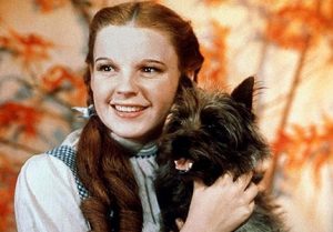 toto-and-dorothy-toto-the-wizard-of-oz-11525946-431-300
