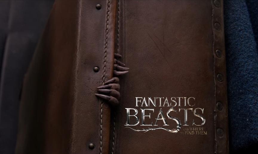 Still from Fantastic Beasts and Where To Find Them, courtesy of Warner Bros.