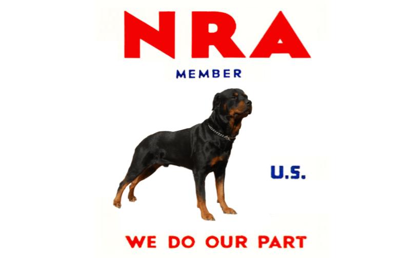 Why I Support the NRA