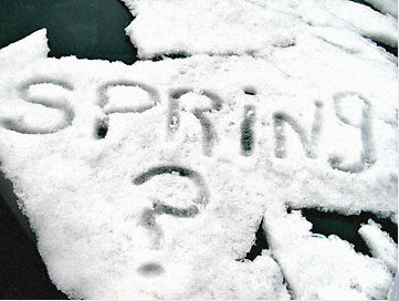 Where is Spring?