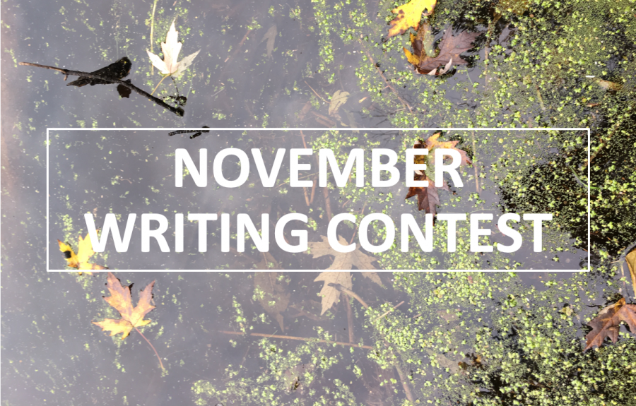 BHS Blueprint Monthly Writing Contest: November 2018